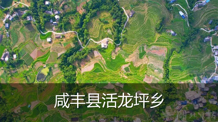 咸丰县活龙坪乡