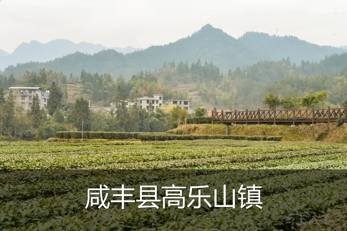 咸丰县高乐山镇